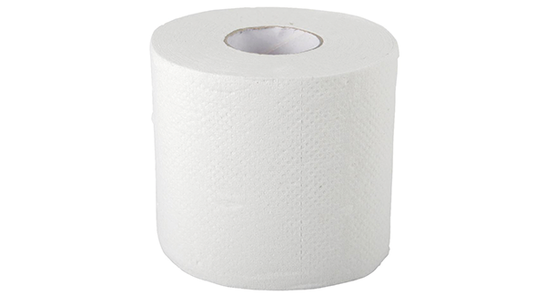 Image PAPIER HYGIÉNIQUE MEDLINE POUR EVSDSTPVSTD
